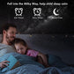 Planetarium Projector